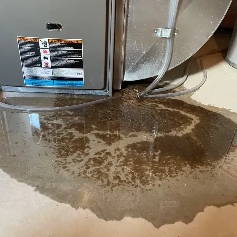 Appliance Leak Cleanup in Smoke Rise, AL